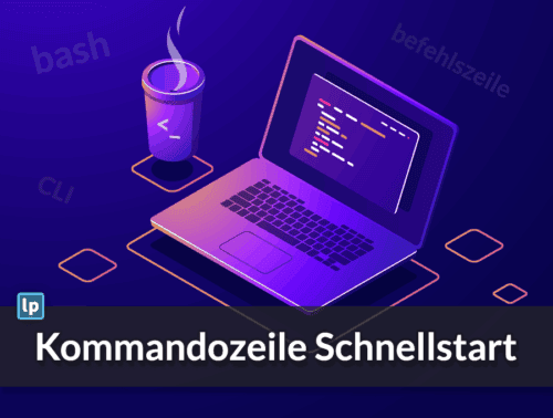 LearnDash cli schnellstart 500x378 1